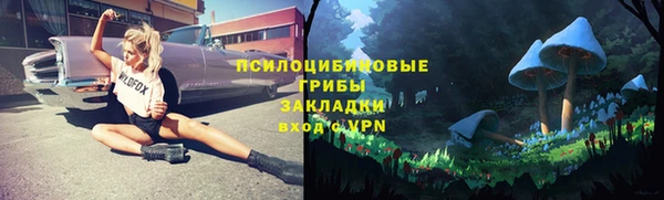 наркотики Бородино