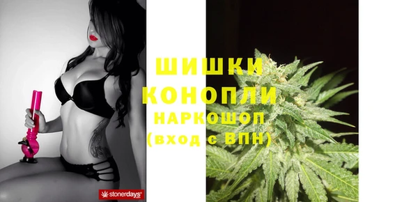 наркотики Бородино