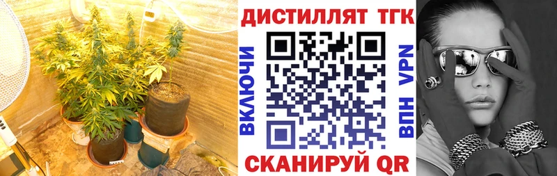 Купить  Гаврилов-Ям  ТГК жижа 