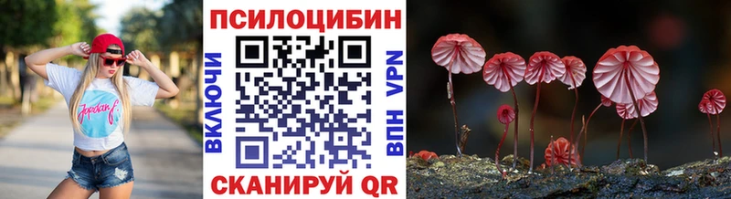 Псилоцибиновые грибы прущие грибы  Купить закладки  Гаврилов-Ям 