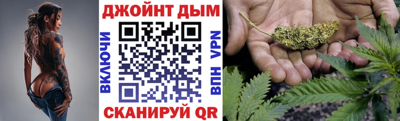 Канабис план  Купить где  Гаврилов-Ям 